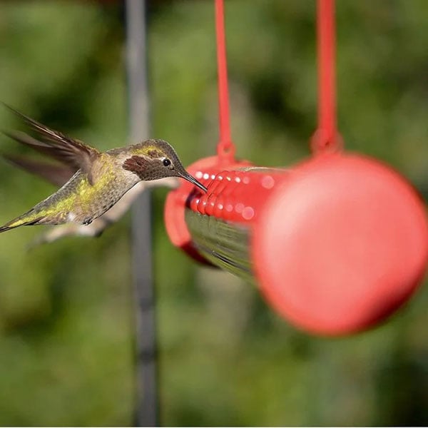 Sherum Flower Bar Hummingbird Feeder