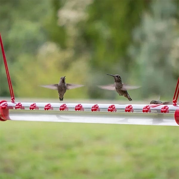 Sherum Flower Bar Hummingbird Feeder