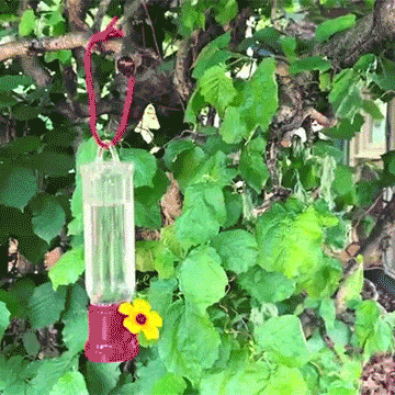 Sherum New Leak-Proof Design Hummingbird Feeder (4 Pack)